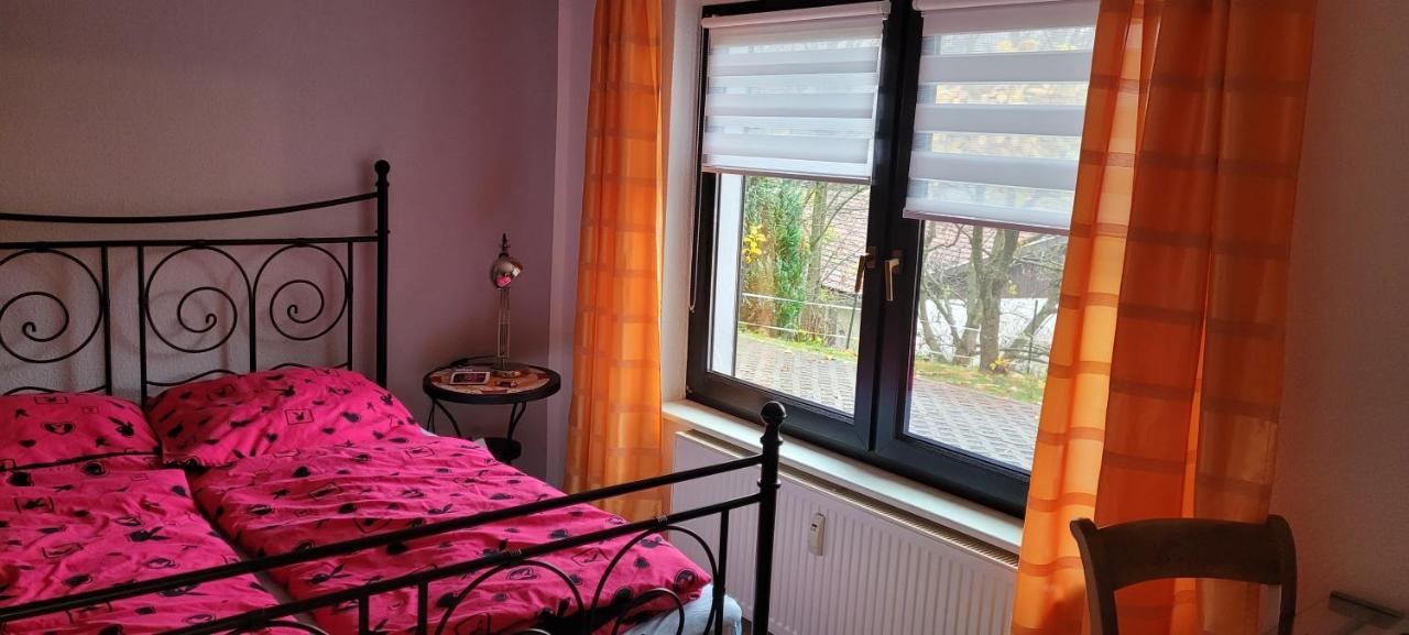 Fewo Harz Haennig 1 Wieda ภายนอก รูปภาพ