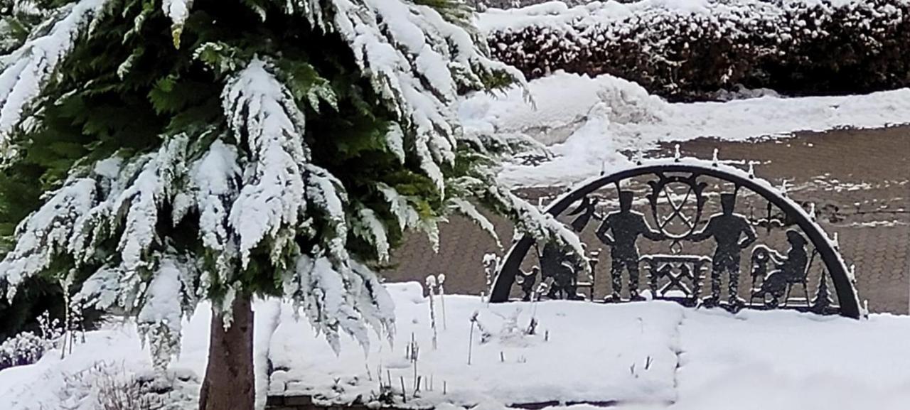 Fewo Harz Haennig 1 Wieda ภายนอก รูปภาพ