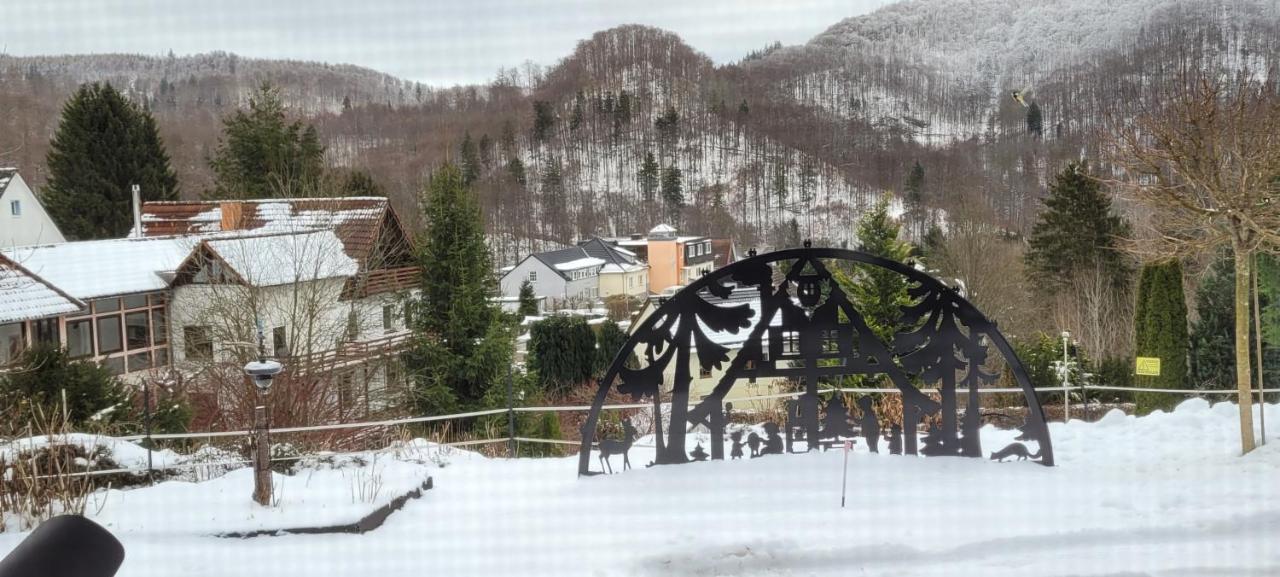 Fewo Harz Haennig 1 Wieda ภายนอก รูปภาพ