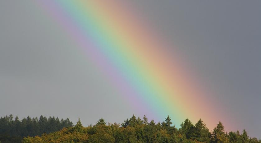 Fewo Harz Haennig 1 Wieda ห้อง รูปภาพ