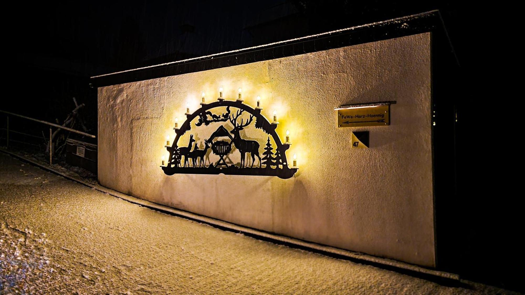 Fewo Harz Haennig 1 Wieda ภายนอก รูปภาพ