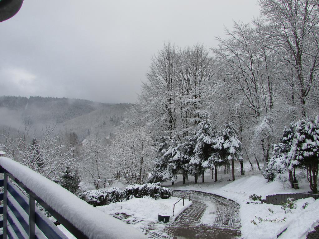 Fewo Harz Haennig 1 Wieda ภายนอก รูปภาพ