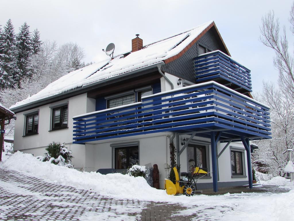 Fewo Harz Haennig 1 Wieda ภายนอก รูปภาพ