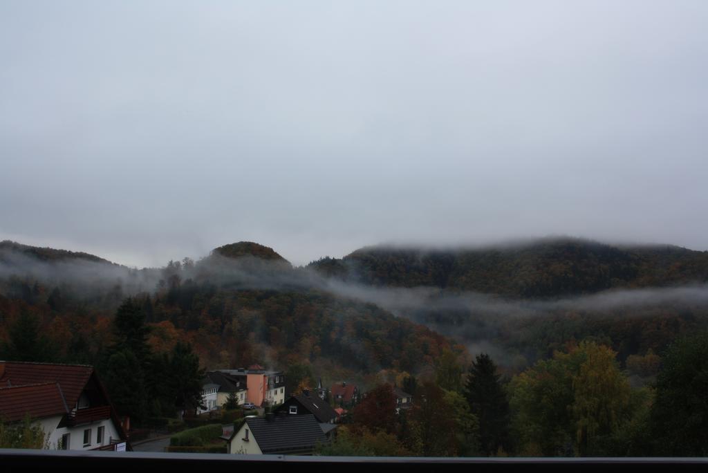 Fewo Harz Haennig 1 Wieda ภายนอก รูปภาพ