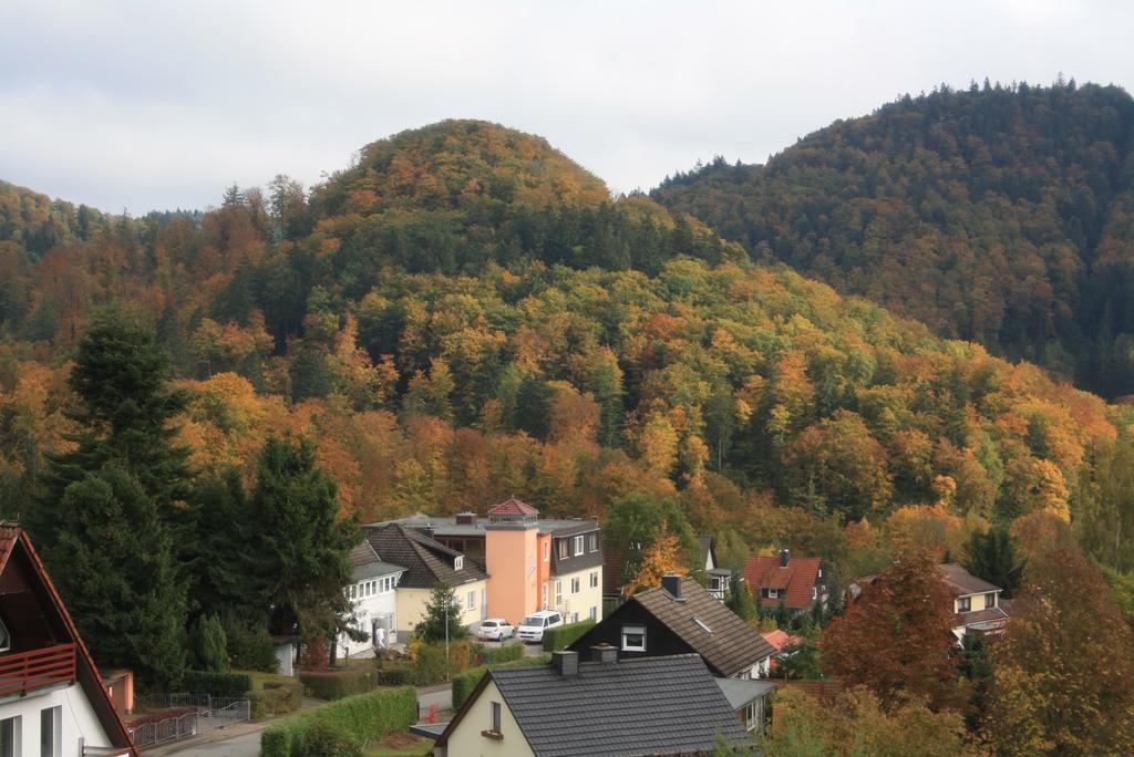 Fewo Harz Haennig 1 Wieda ภายนอก รูปภาพ